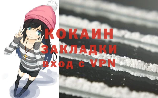 spice Гусев