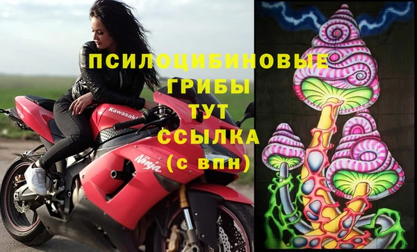 винт Гусь-Хрустальный