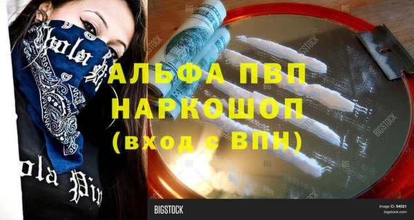 spice Гусев