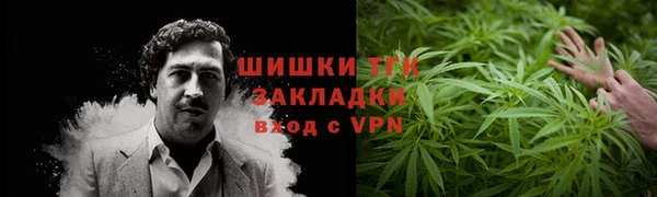 spice Гусев