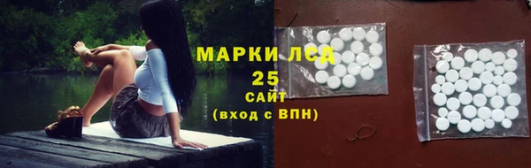 spice Гусев
