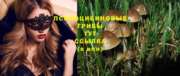 spice Гусев