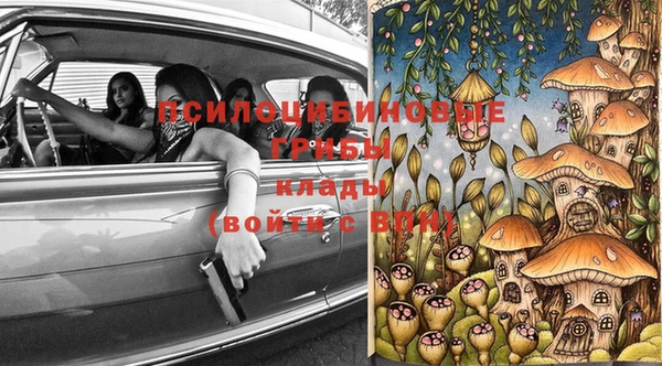 spice Гусев