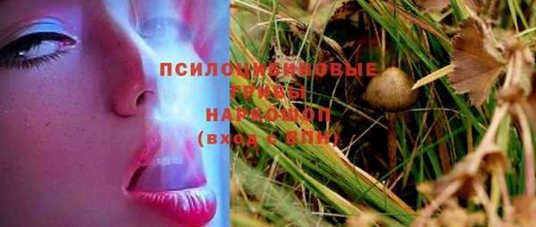 spice Гусев
