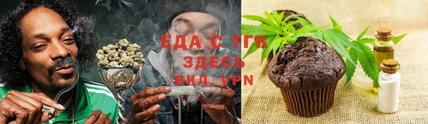 spice Гусев