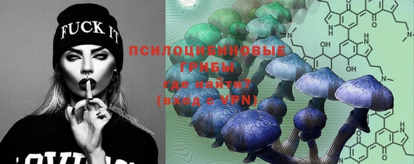 стафф Гусиноозёрск