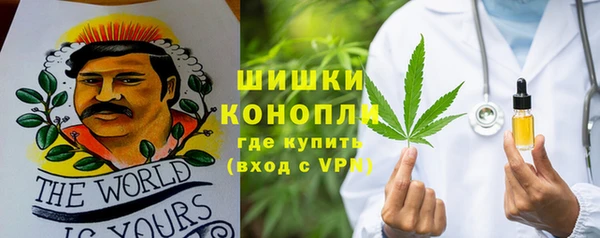spice Гусев